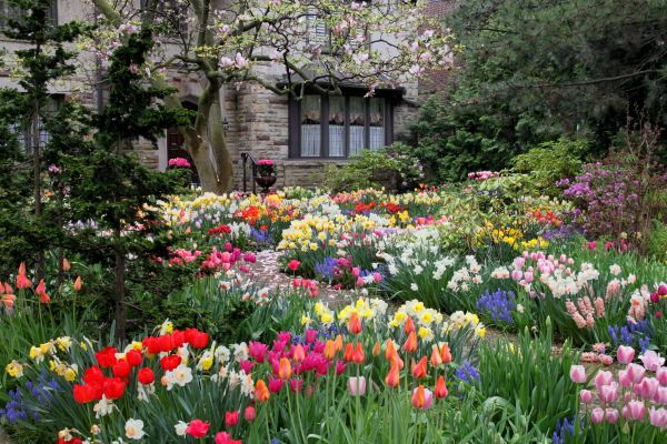Garden Maintenance Service in Olive Branch