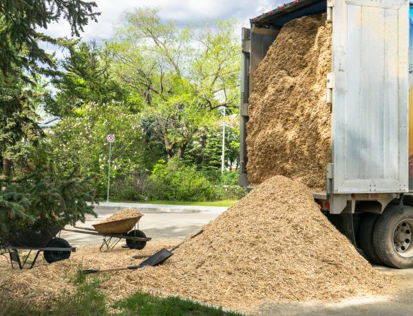 Wood Chips Delivery in Olive Branch