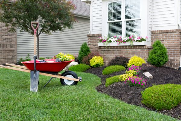 Landscape Maintenance Service in Olive Branch