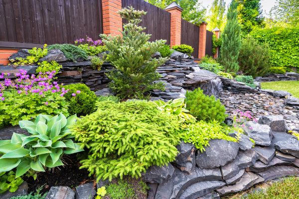 Landscape Remodeling in Olive Branch