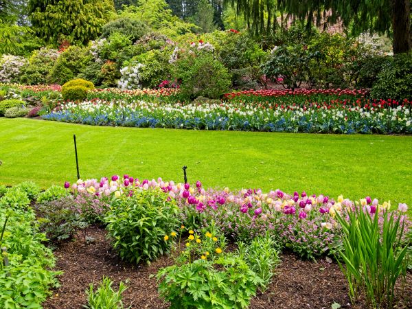 Residential Landscape Design in Olive Branch