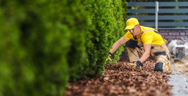 Cypress Mulch Installation in Olive Branch