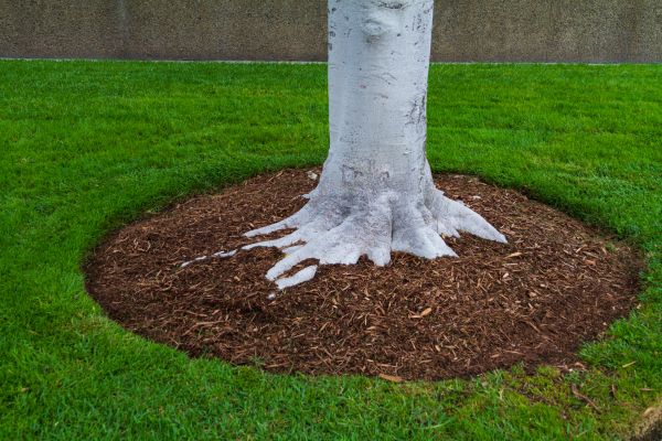 Brown Mulch Installation in Olive Branch