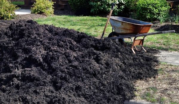 Black Mulch Installation in Olive Branch
