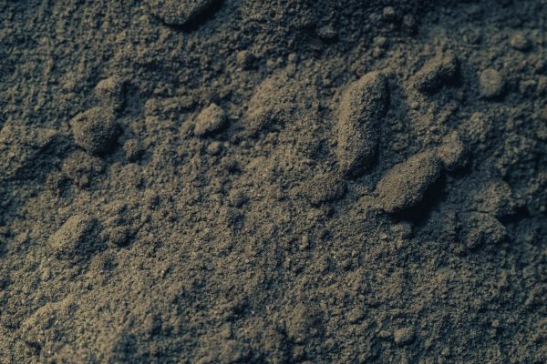 Loam Delivery in Olive Branch