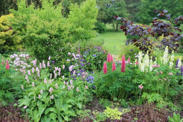 Flower Bed Planting in Olive Branch