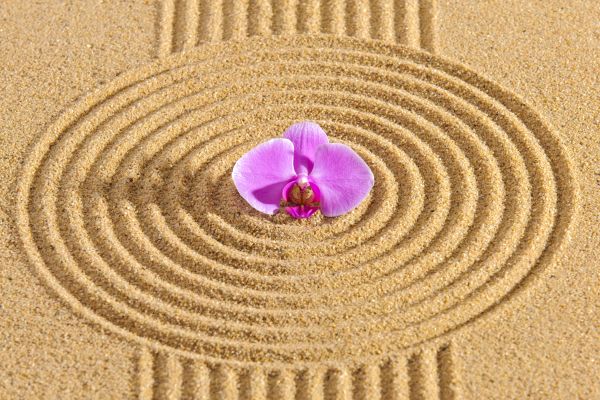 Sand Garden Landscaping in Olive Branch