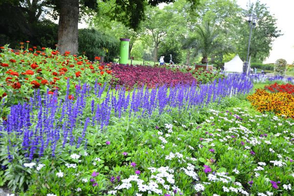 Perennials Planting in Olive Branch