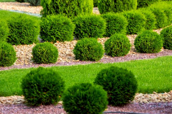 Bush Installation in Olive Branch
