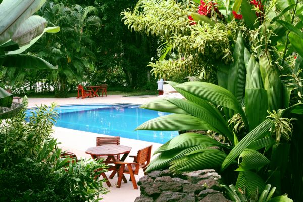 Pool Area Landscaping in Olive Branch