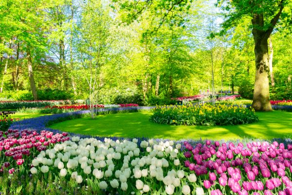 Flower Landscaping in Olive Branch