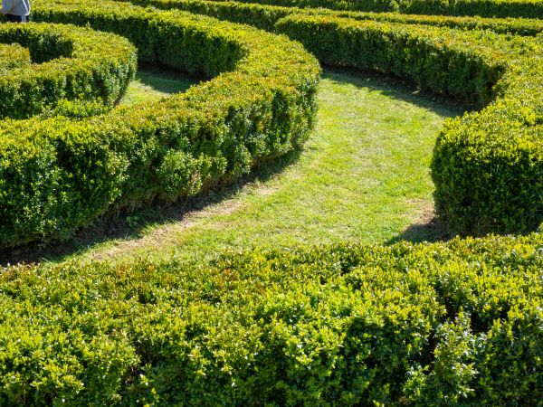Bush Landscaping in Olive Branch