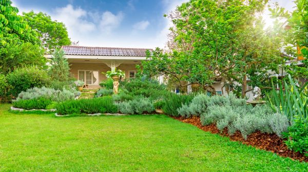 Greenery Planting in Olive Branch