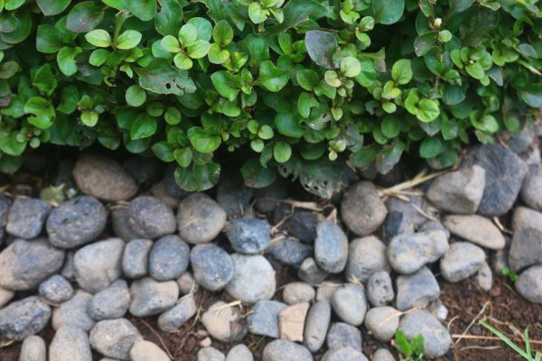 River Stone Installation in Olive Branch