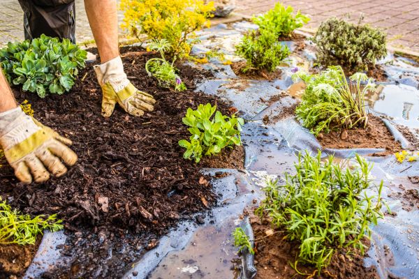 Mulch Fabric Installation in Olive Branch