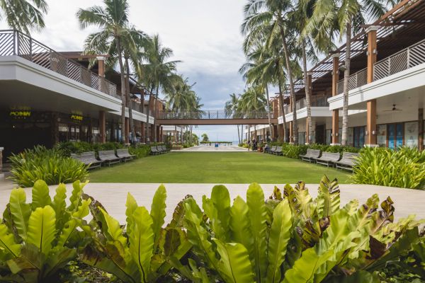 Commercial Lawn Renovation in Olive Branch