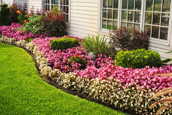 Garden Landscape Design in Olive Branch