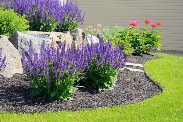 Landscape Planting Service in Olive Branch