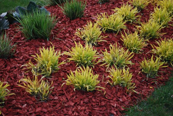 Red Mulch Installation in Olive Branch