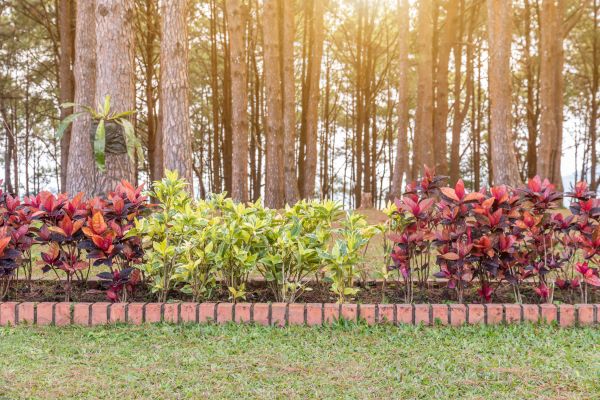 Small Garden Landscaping in Olive Branch