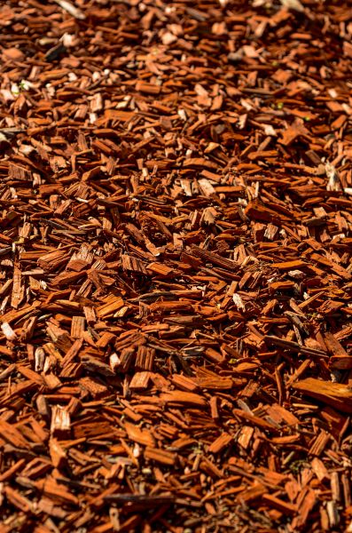 Cedar Mulch Spreading in Olive Branch