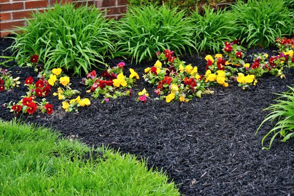 Apartment Mulching in Olive Branch