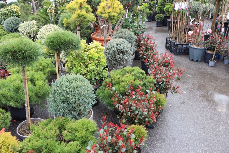 Bush Planting Service