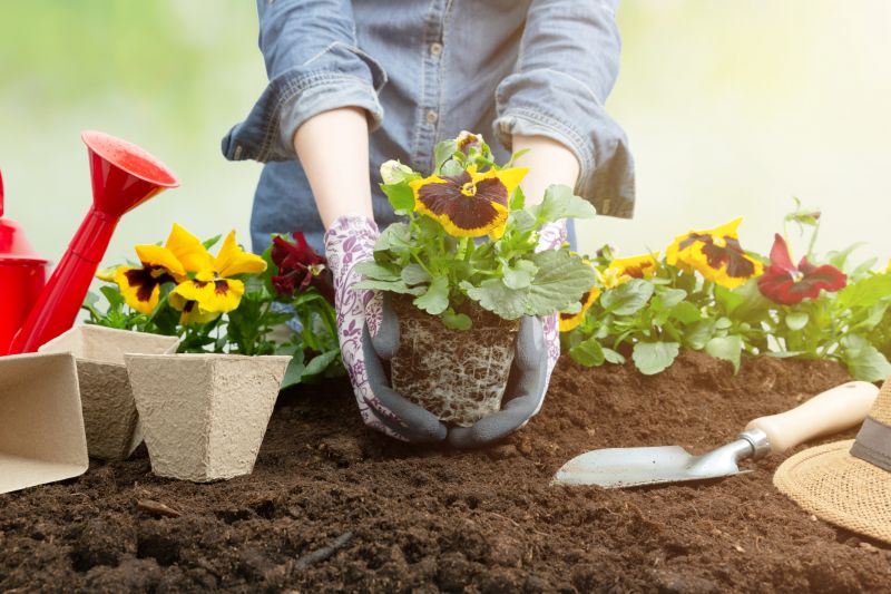 Home Gardening Service